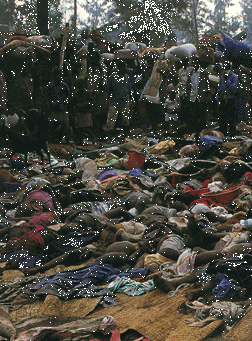 Ethnic Cleansing Rwanda 82